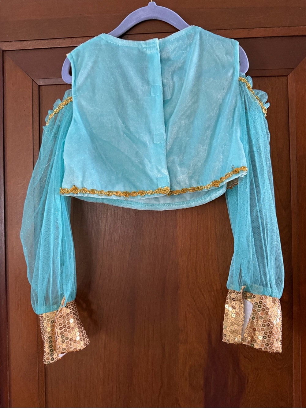 Kids Shimmery Teal Genie/Jasmine Costume with Gold Trim - Picture 5 of 10